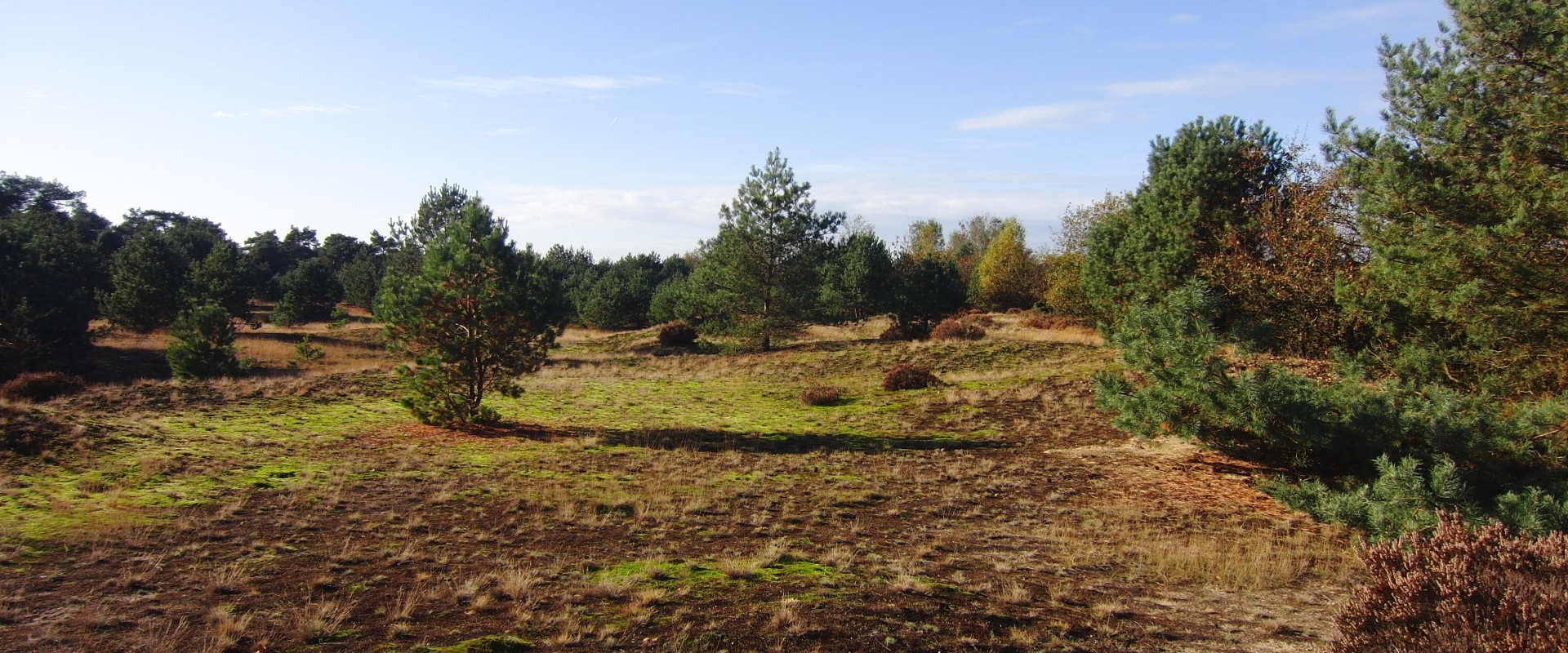 caitwiycerzand  2 017.jpg