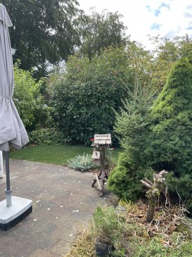 Tuin met parasol.jpeg