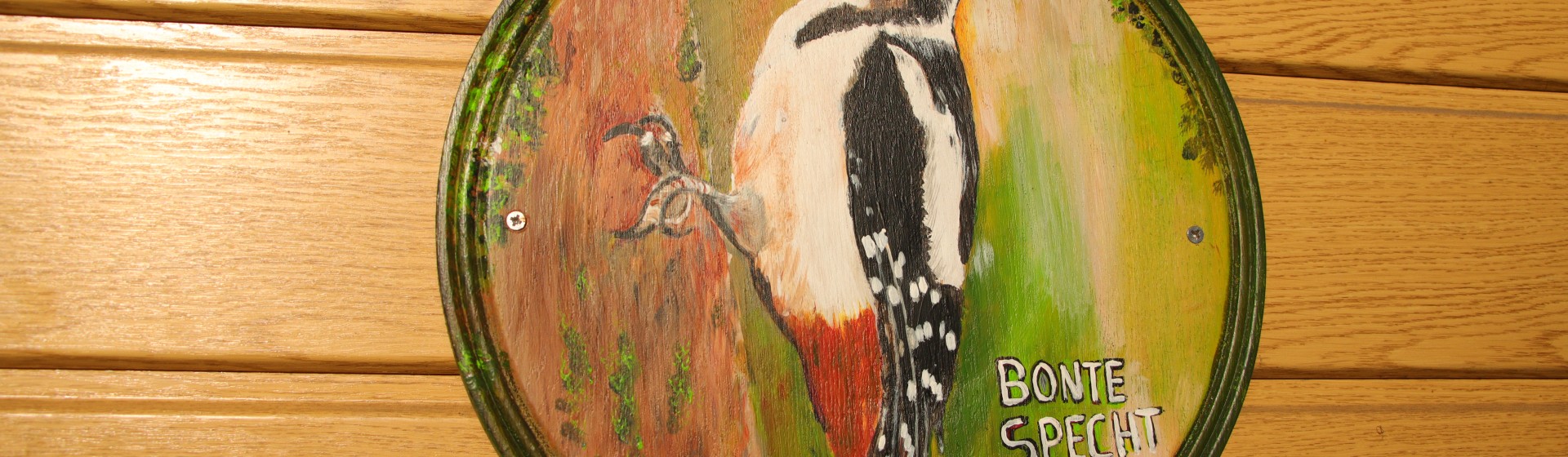 bonte spechtIMG_8803 (1).JPG