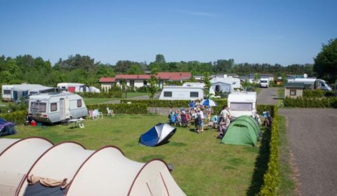 toer-1.jpg