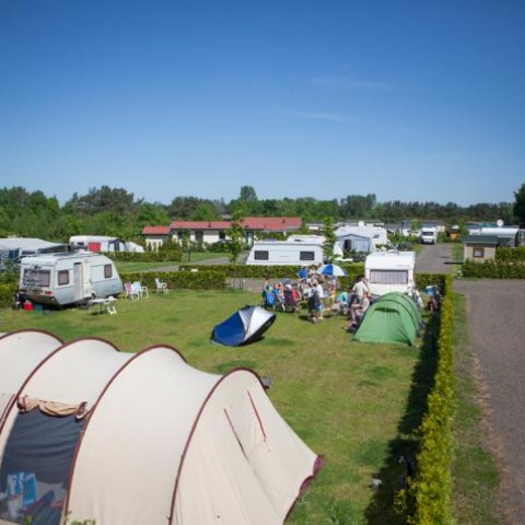 toer-1.jpg